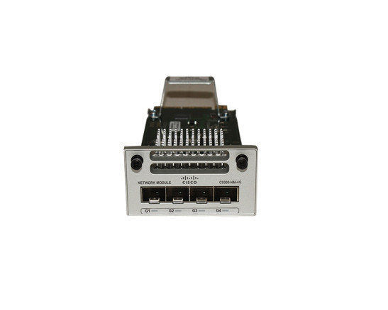 C9300-NM-4G=