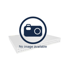 WS-X4904-10GE