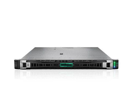 DL325 GEN 11, HPE DL325 Gen11 Rack Server, 1×9124/1×32G/2×960G SAS SSD